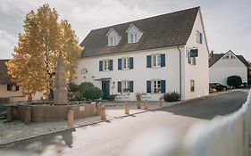 Traube Blansingen